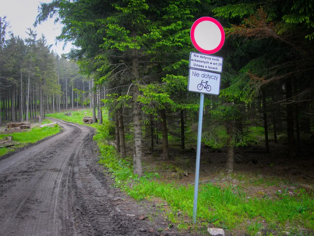 znak zakazu wjazdu do lasu motocyklem