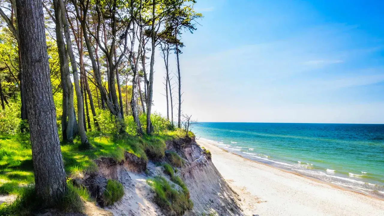 Piękny widok na plażę i morze z klifu porośniętego lasem. Idealne miejsce na spacer i podziwianie przyrody, odkrywając niechorze atrakcje.