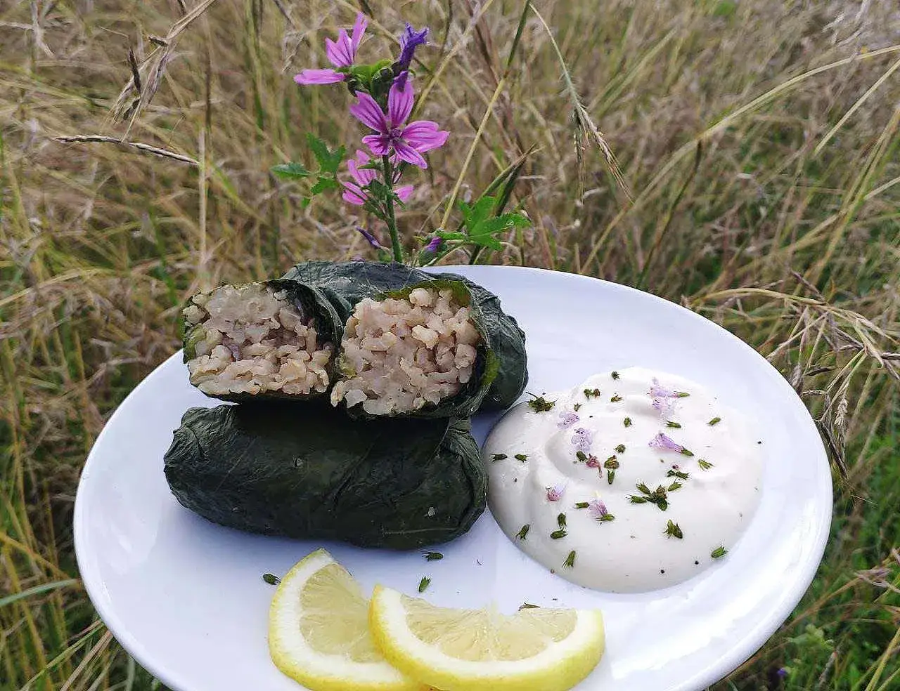 Dolmades su tanjir sa sosom i limunom, pored cvetova malve. Pazite, neke biljke, kao &scaron;to su malva, nisu otrovne, ali je važno znati koje su biljke otrovne i kako ih prepoznati.