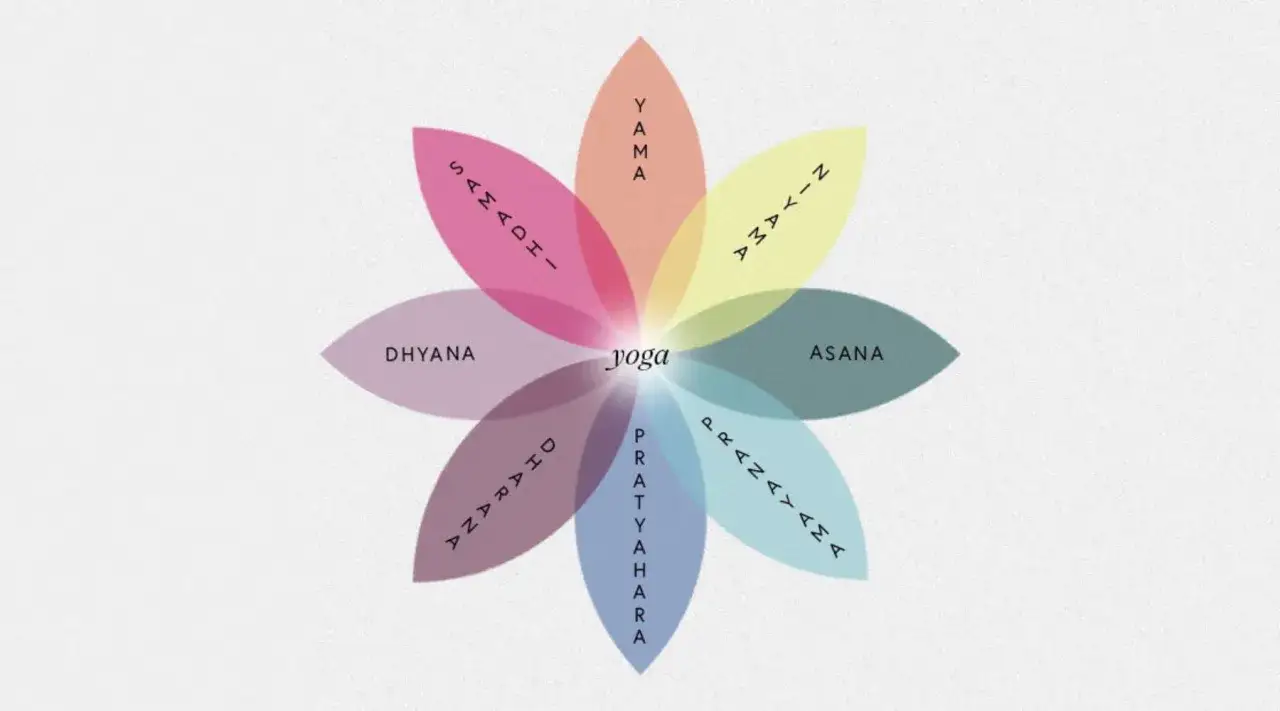Diagrama de flor de loto que ilustra la filosofía del yoga, mostrando sus ocho ramas: Yama, Niyama, Asana, Pranayama, Pratyahara, Dharana, Dhyana y Samadhi.