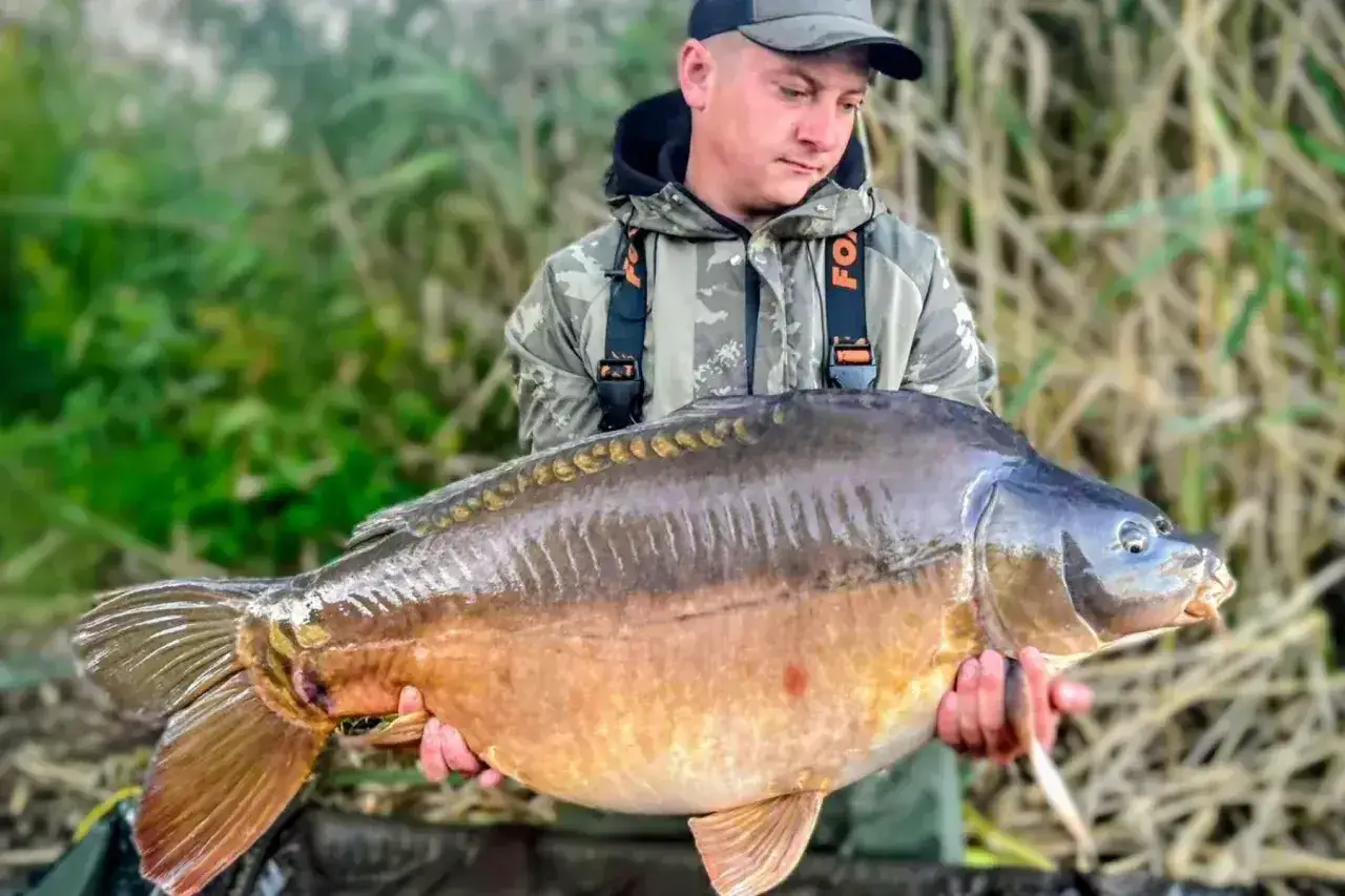 Wędkarz trzyma ogromnego karpia, prawdziwy okaz extra carp niwka. Ryba lśni w słońcu, a jej łuski mienią się złotem.