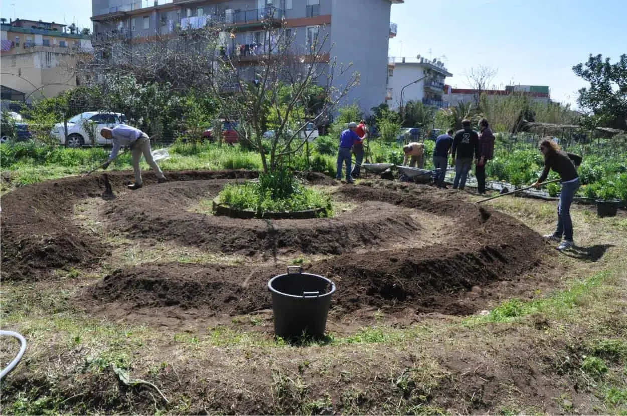 Persone lavorano in un orto a spirale, creando un sistema di permacultura. Il terreno &egrave; lavorato con attrezzi, pronto per le semine.