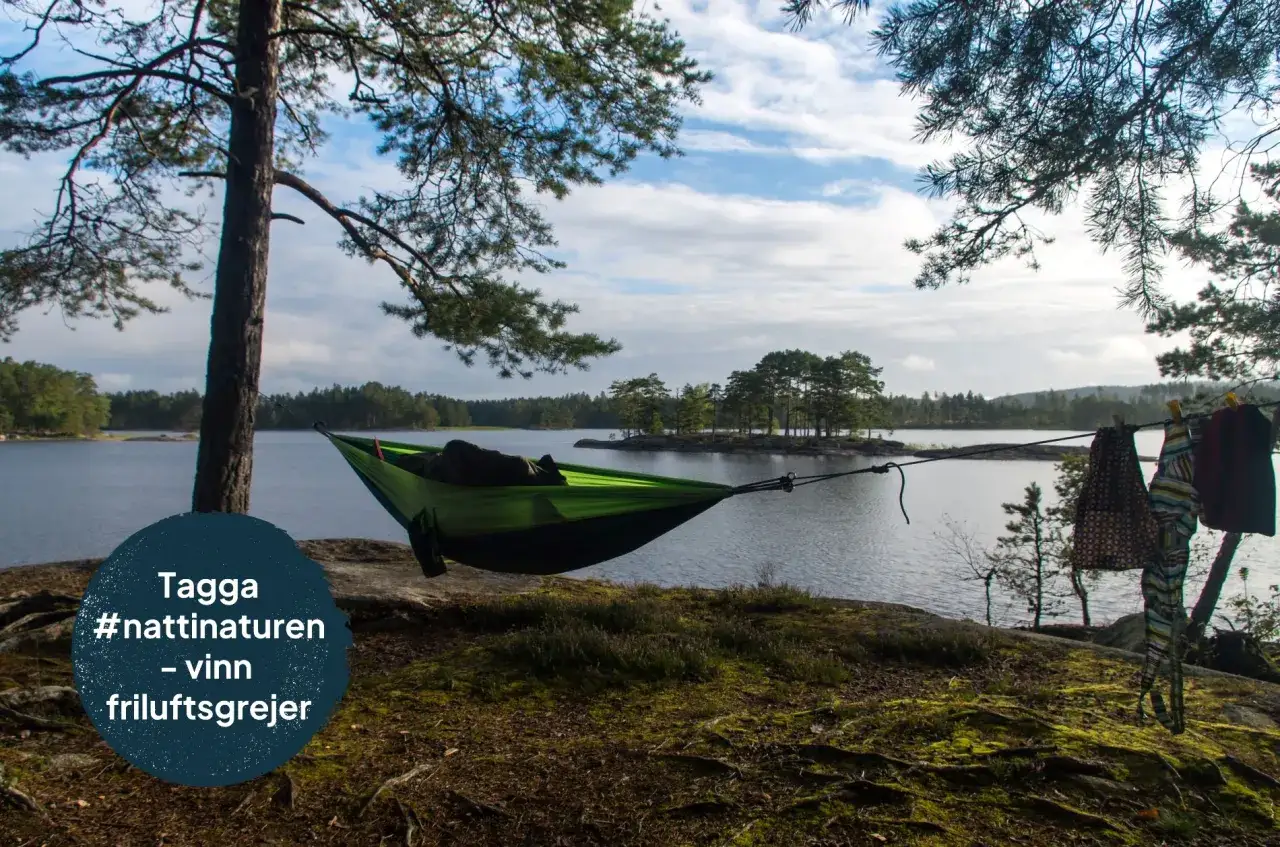 En person sover i en grön hängmatta vid en sjö. Kläder hänger på tork. En perfekt plats att sova under bar himmel.