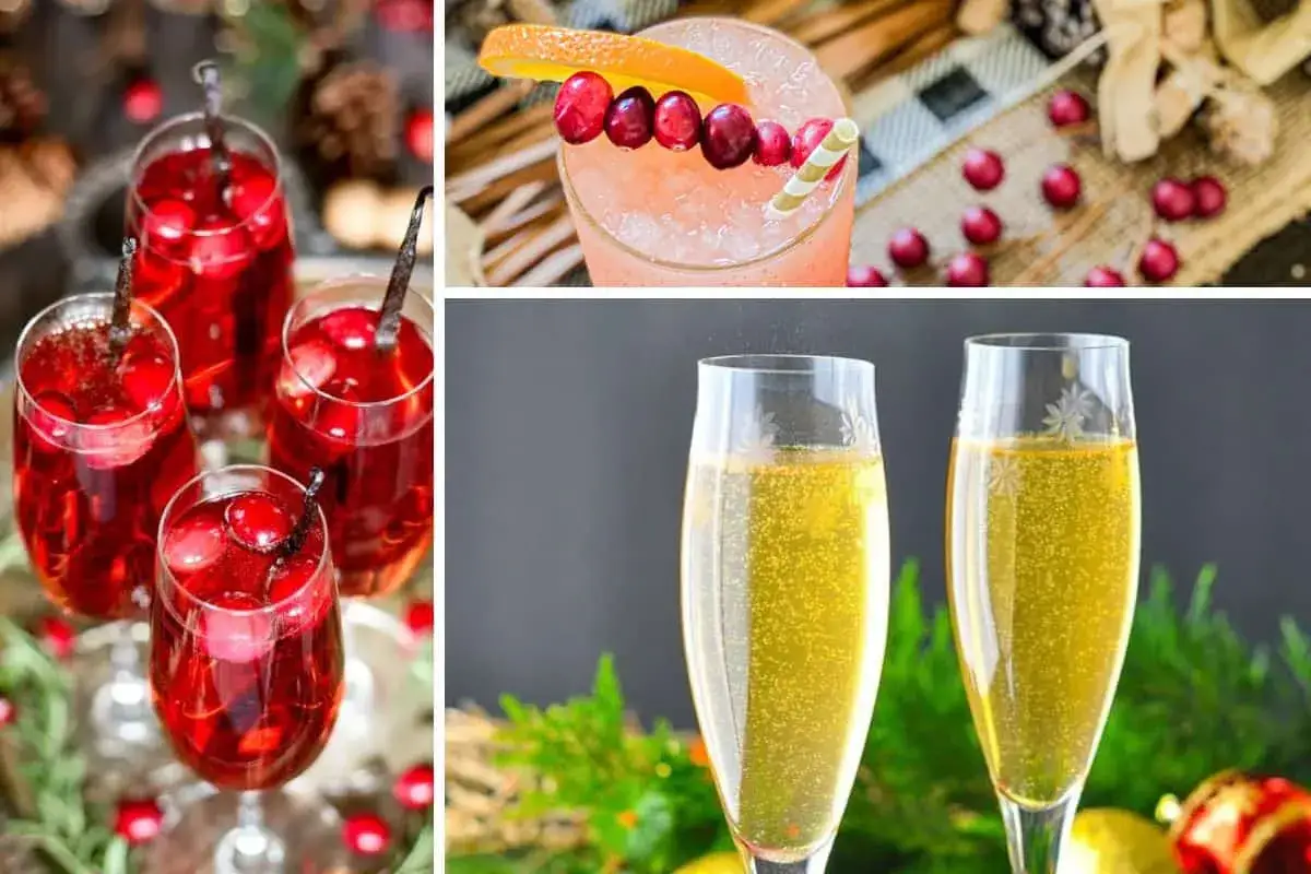 Festliche Getr&auml;nke: Rote Cocktails mit Cranberries und ein prickelnder Champagner-Cocktail.