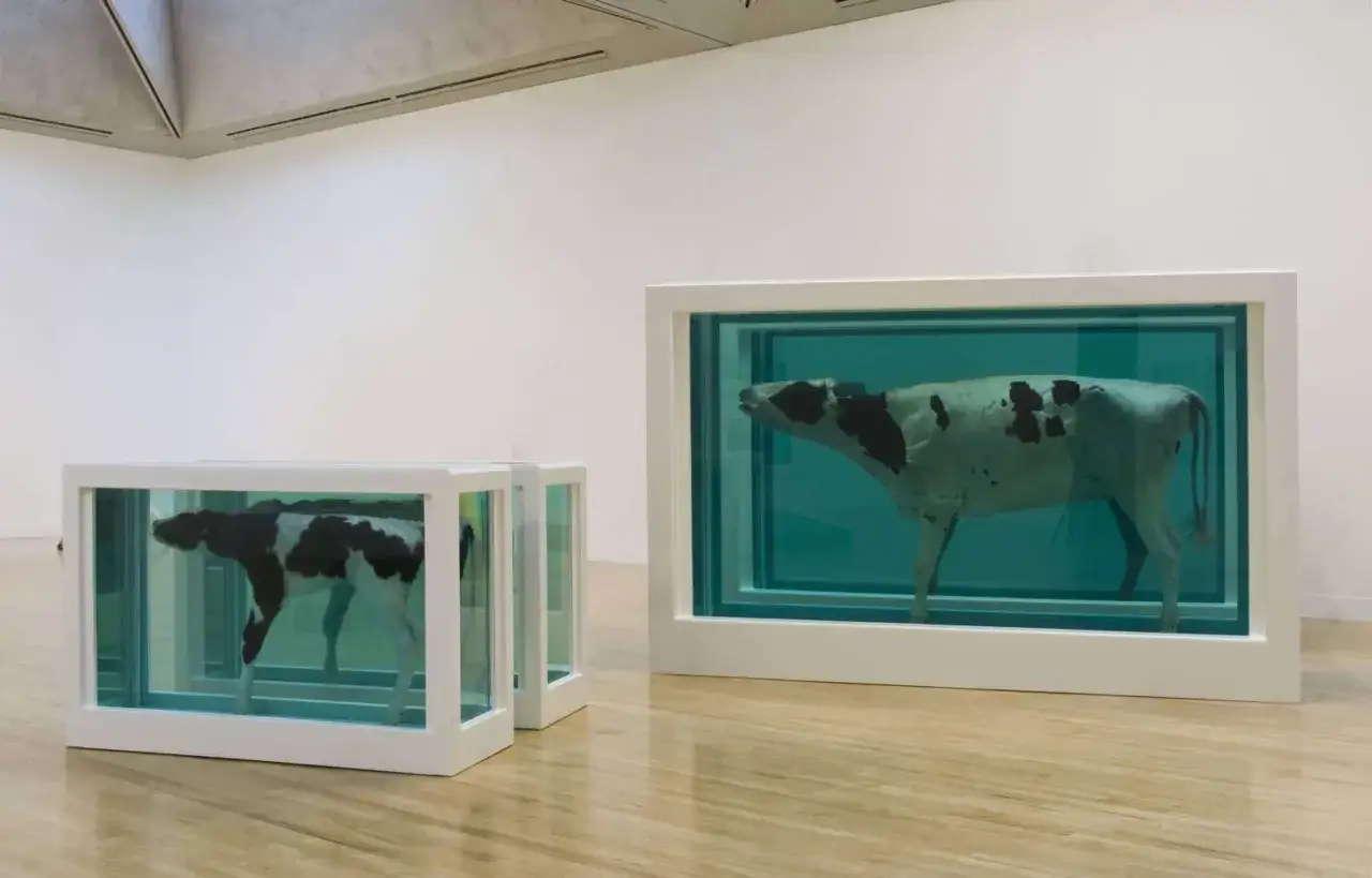 Damien Hirsts konservierte Kühe in Formaldehyd, ein provokantes Kunstwerk, das zum Nachdenken anregt.