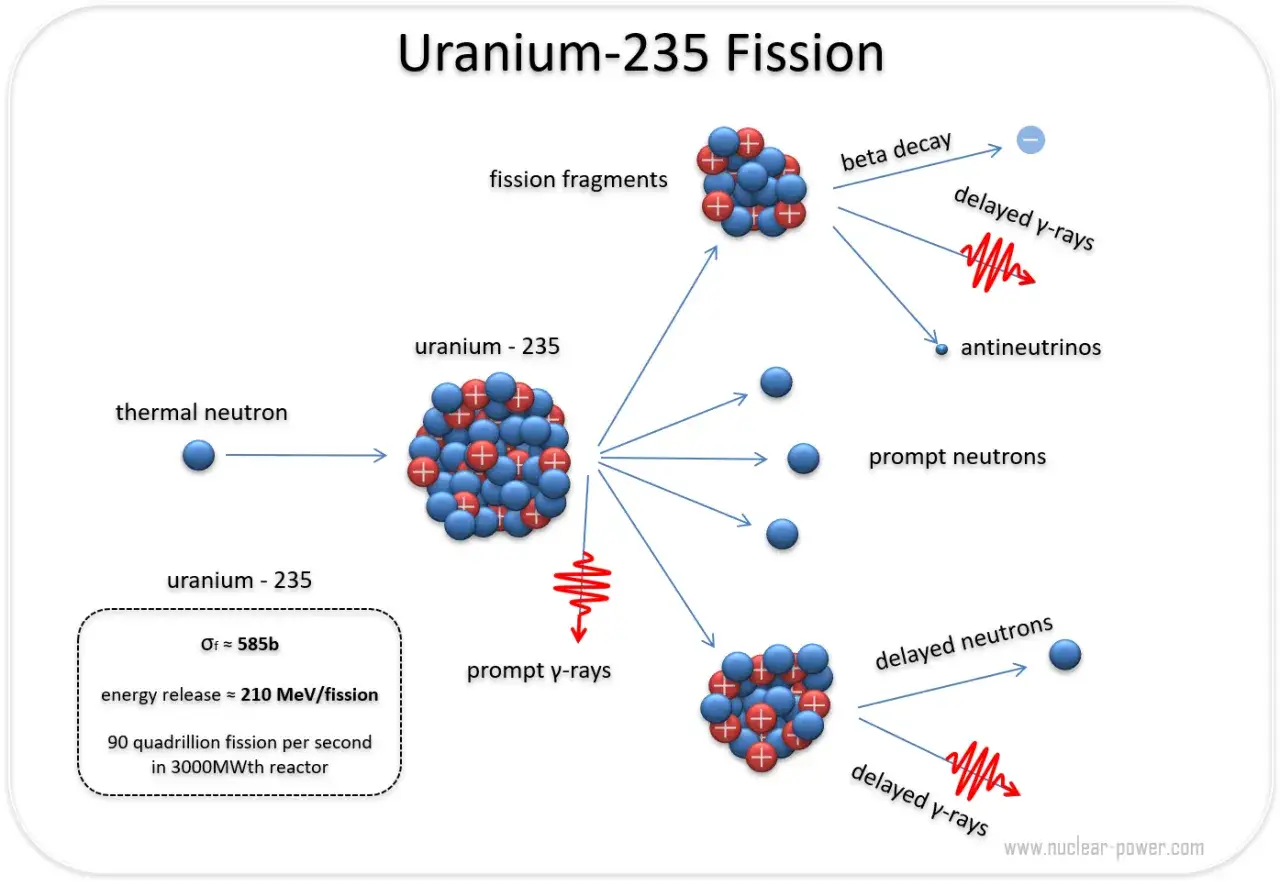 Schemat rozszczepienia uranu-235: neutron termiczny uderza w jądro, powodując jego rozpad na fragmenty, neutrony, promieniowanie gamma i antyneutrina.