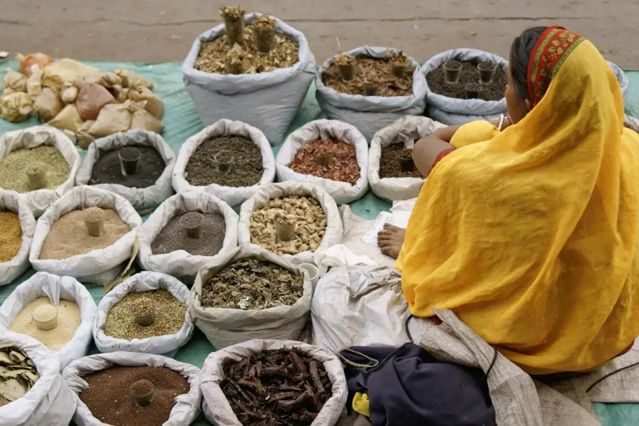 Frauen in gelben Saris verkaufen auf einem orientalischen Warenmarkt Gew&uuml;rze und Kr&auml;uter aus S&auml;cken.