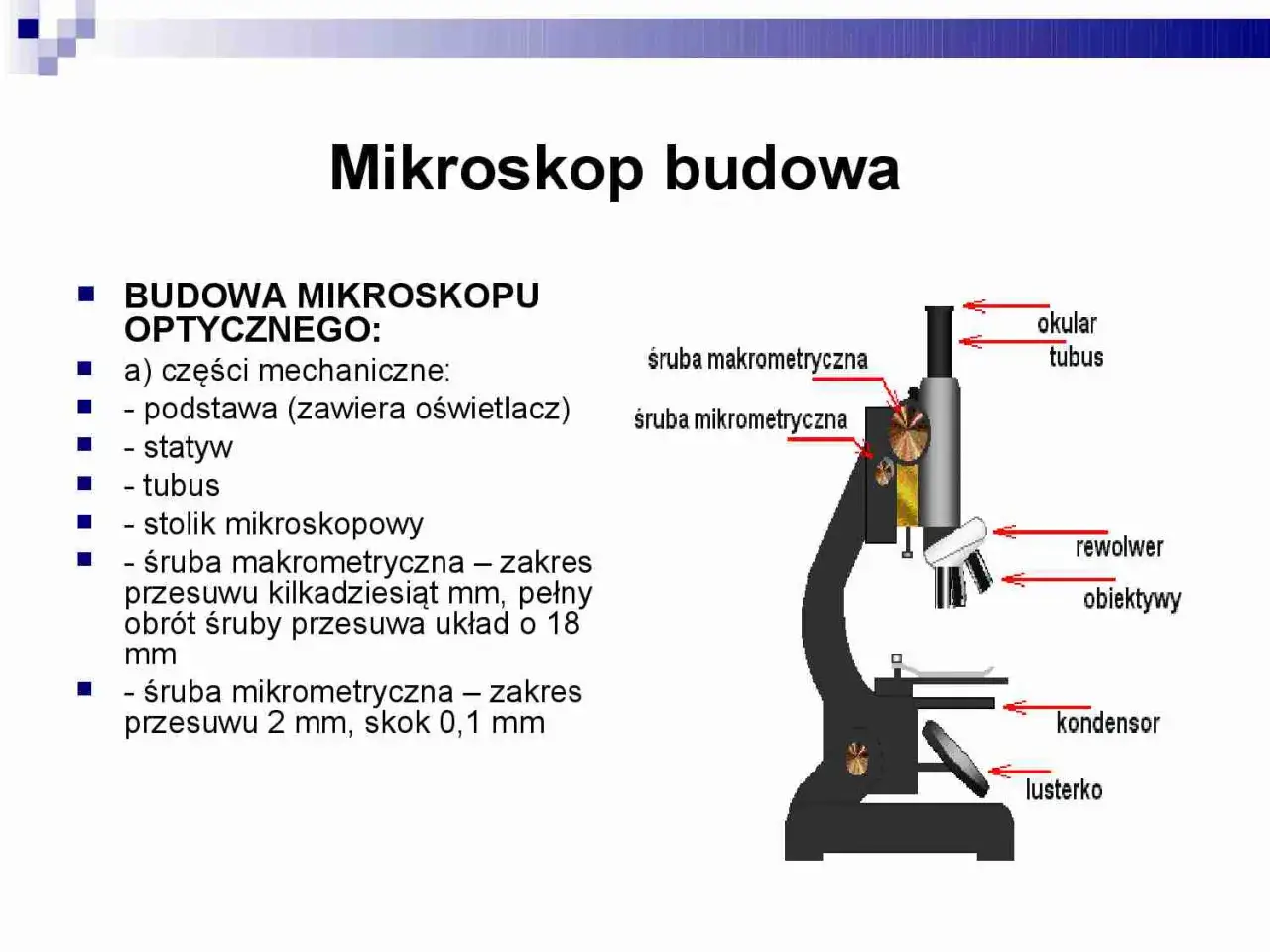 Schemat budowy mikroskopu optycznego z opisem części: okular, tubus, śruby makrometryczne, rewolwer, obiektywy, kondensor, lusterko.