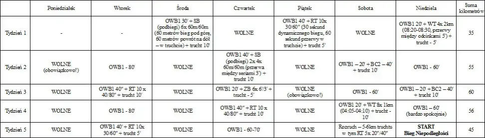 Zdjęcie 10 km w 40 minut: Tw&oacute;j plan treningowy krok po kroku