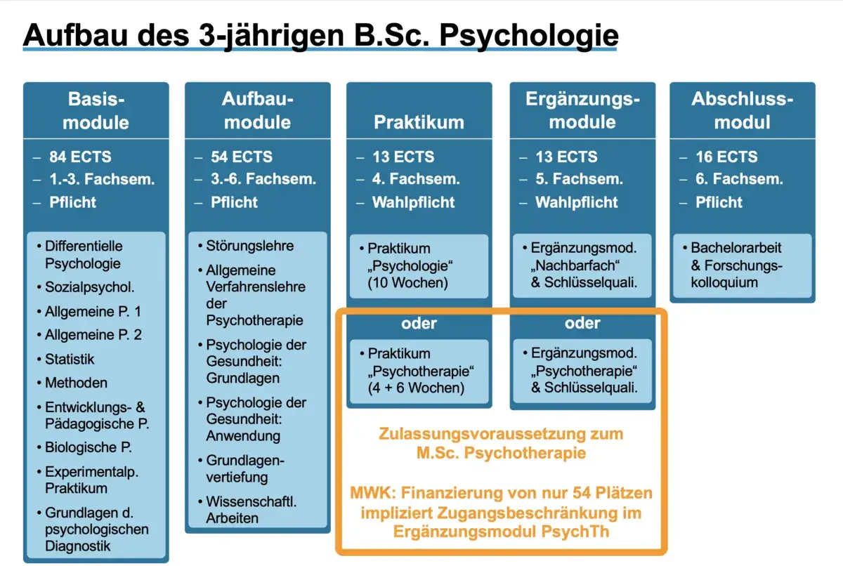 Struktur des B.Sc. Psychologie: Basis-, Aufbau-, Praktikums-, Erg&auml;nzungs- und Abschlussmodul. Bereitet auf eine T&auml;tigkeit als Psychotherapeut vor.