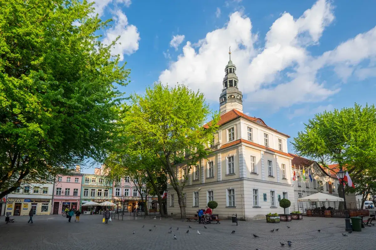 Rynek w Zielonej Górze z ratuszem i kolorowymi kamieniczkami. Wiosenne drzewa dodają uroku miejska atrakcje.