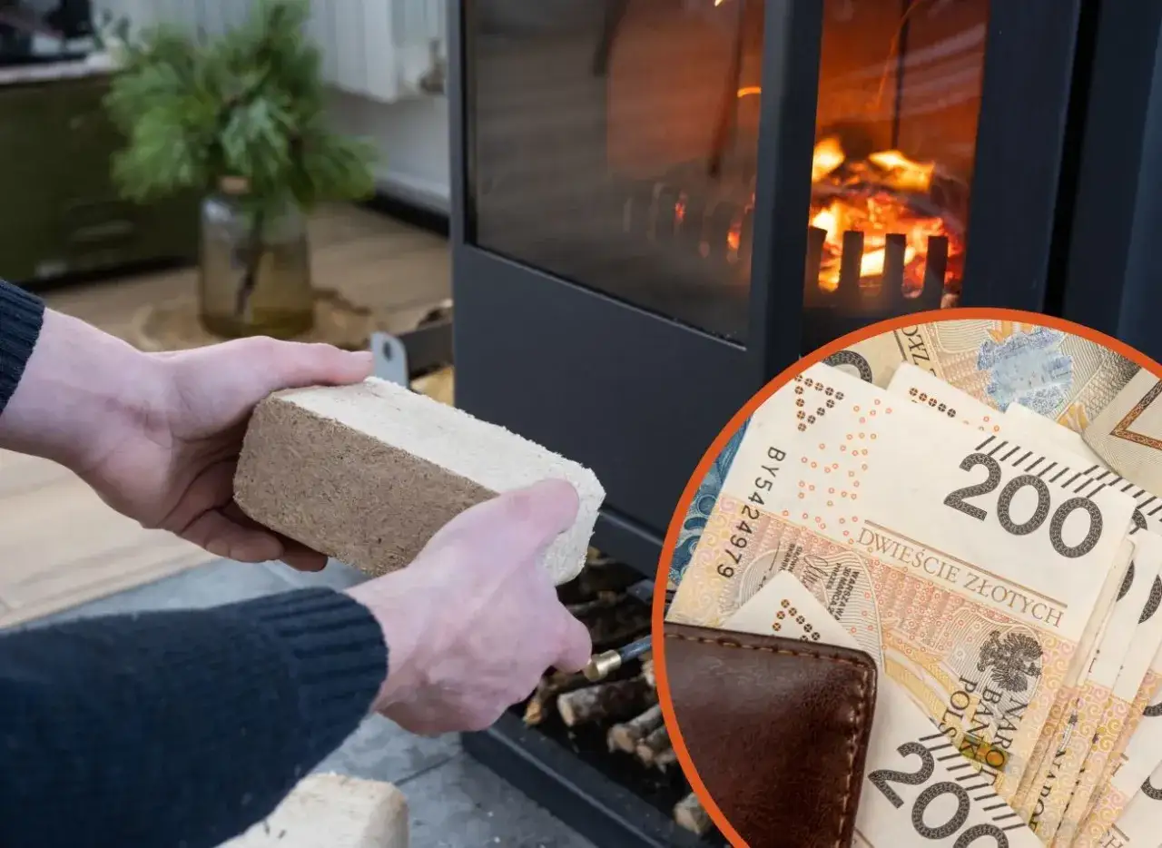 Ręce wkładają brykiet do kominka, obok stos banknotów 200 zł. Zastanawiasz się, ile kosztuje brykiet?