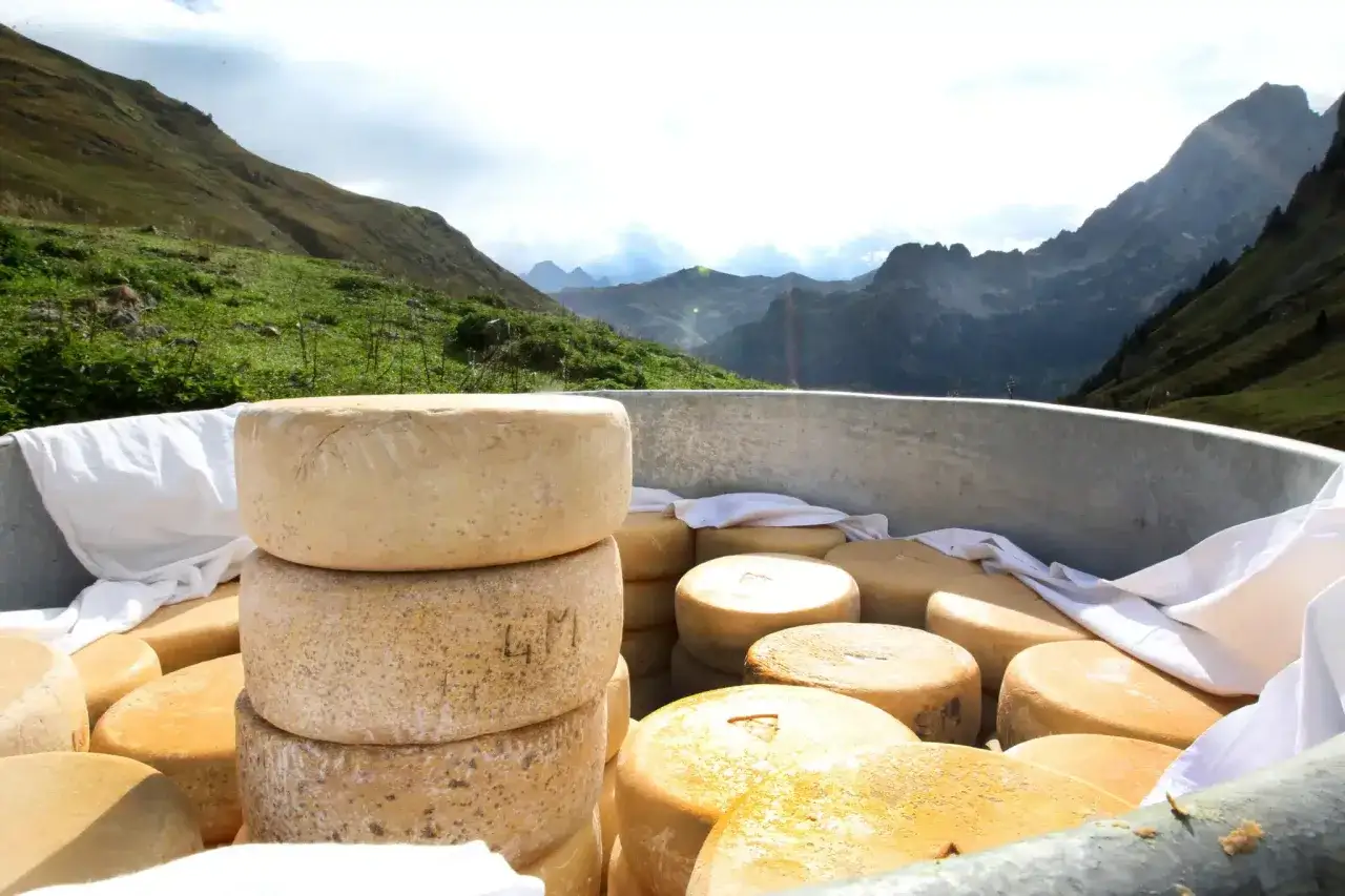 Roue de fromage de Christophe le fromager, empil&eacute;es dans une cuve en m&eacute;tal, avec des montagnes en arri&egrave;re-plan.