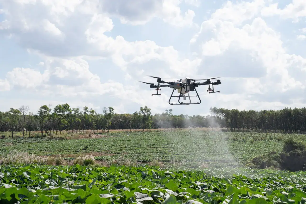 A drone acts as a guardian of agriculture, spraying crops in a field under a cloudy sky.