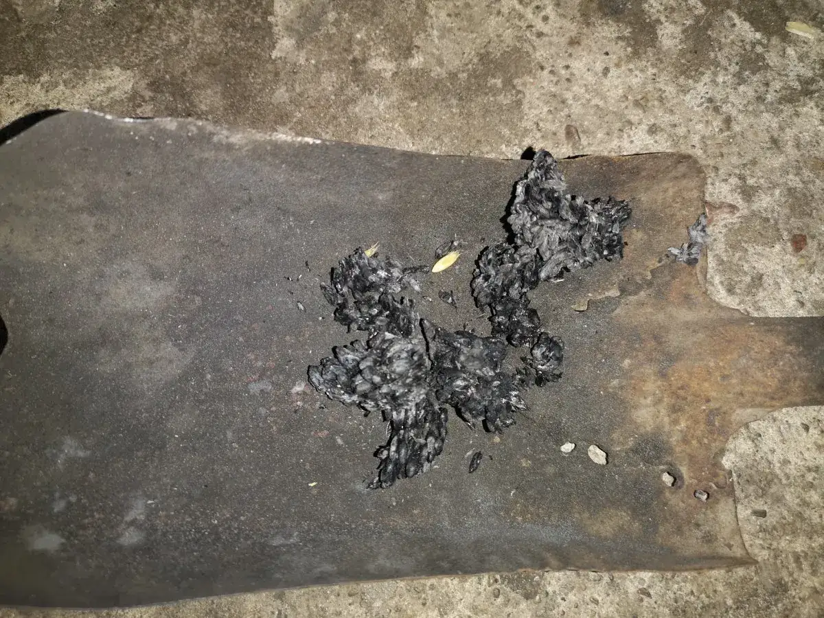 Popiół po paleniu owsem w piecu na pellet, zebrany na łopacie.