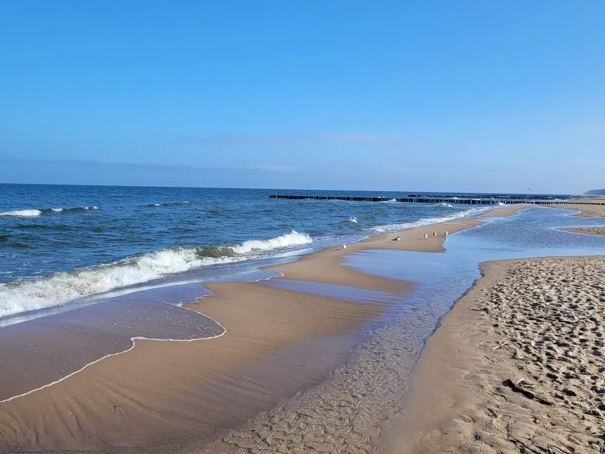 Spokojna plaża z falami, mewami i drewnianymi falochronami. Idealne miejsce na relaks i podziwianie nadmorskich atrakcji.
