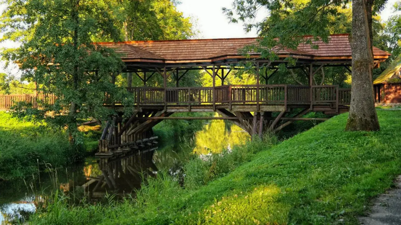 Spacer po Białowieży z psem. Drewniany most nad rzeką, otoczony zielenią.