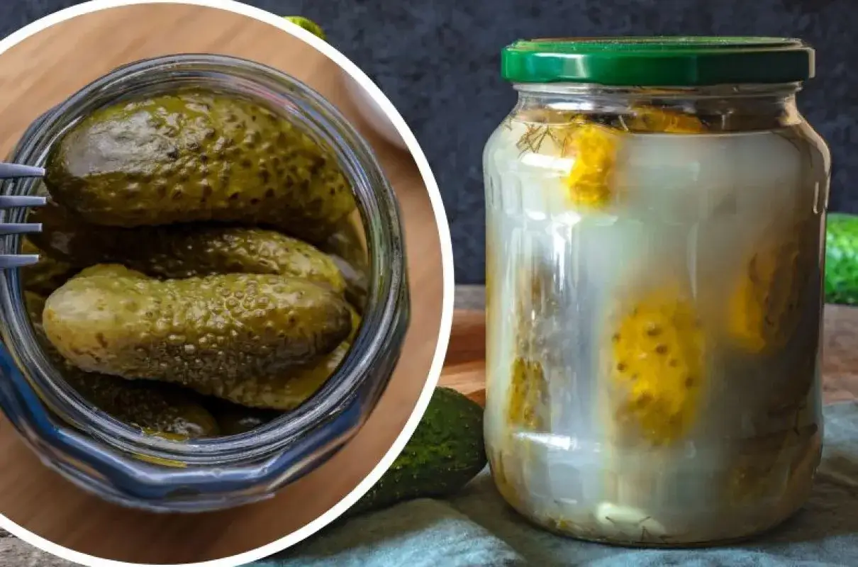 og&oacute;rki kiszone bąbelki fermentacja