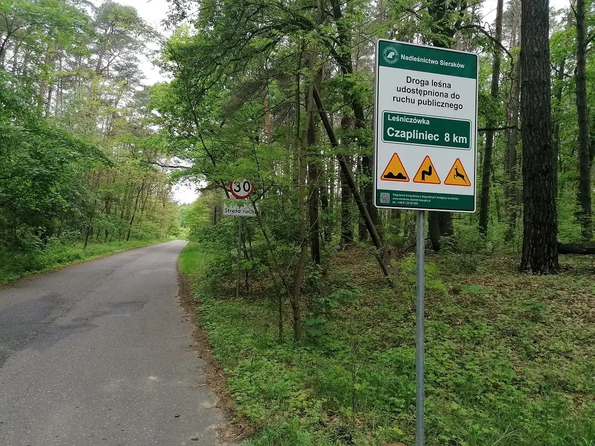 Droga leśna z ograniczeniem prędkości 30 km/h. Tablica informuje o leśniczówce Czapliniec 8 km i ostrzega przed nierównościami, zakrętami i dziką zwierzyną. Zakaz wjazdu do lasu nie jest widoczny.