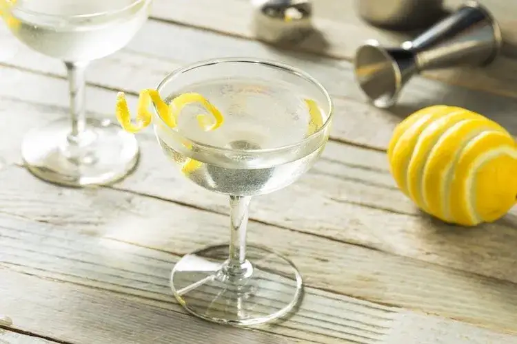 Selezione ingredienti Gin Martini