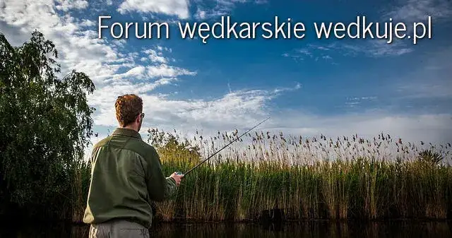 Zdjęcie Jak zrobić łódkę wędkarską - skuteczne metody i materiały do budowy