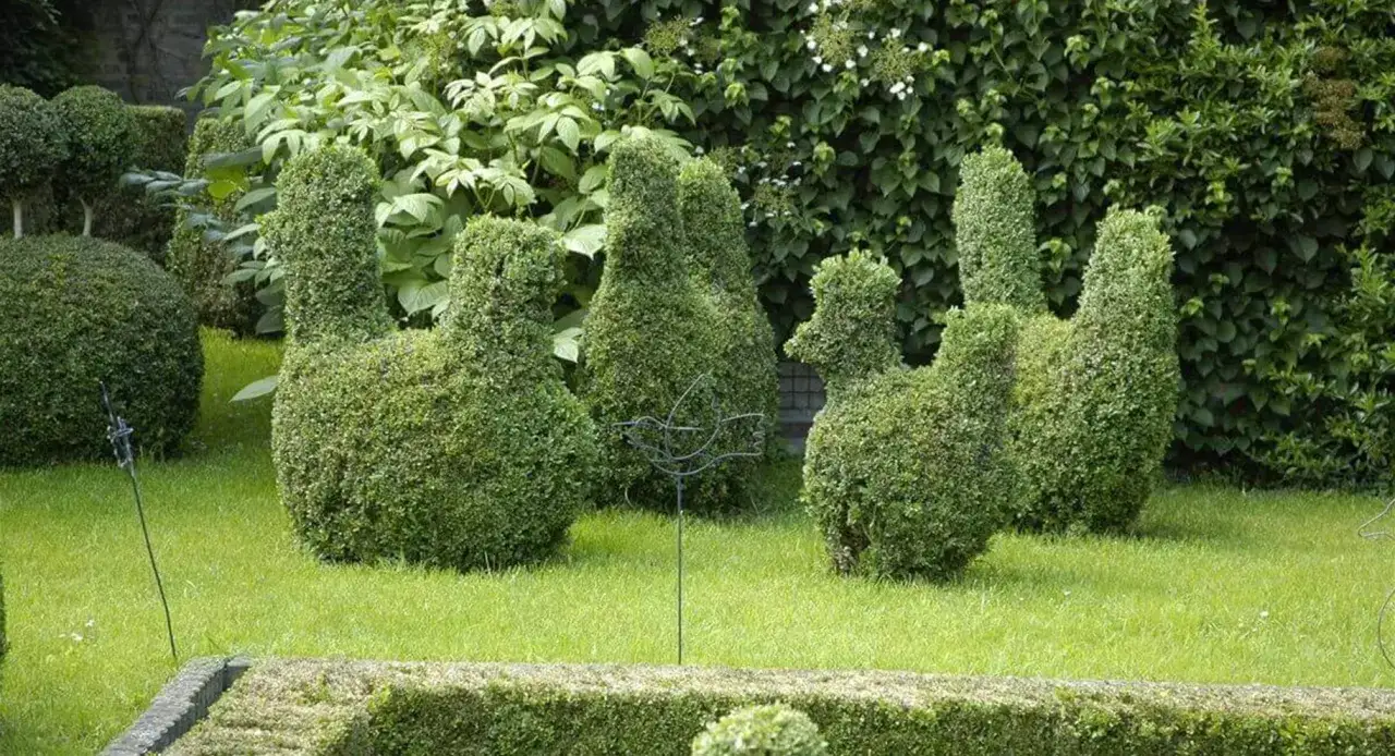 Ein Garten mit kunstvoll geschnittenen Buchsbäumen in Tierform. Die Eibe schneiden erfordert Geduld und Geschick.