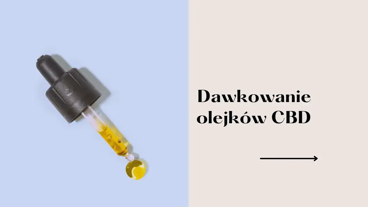 tabela dawkowania CBD