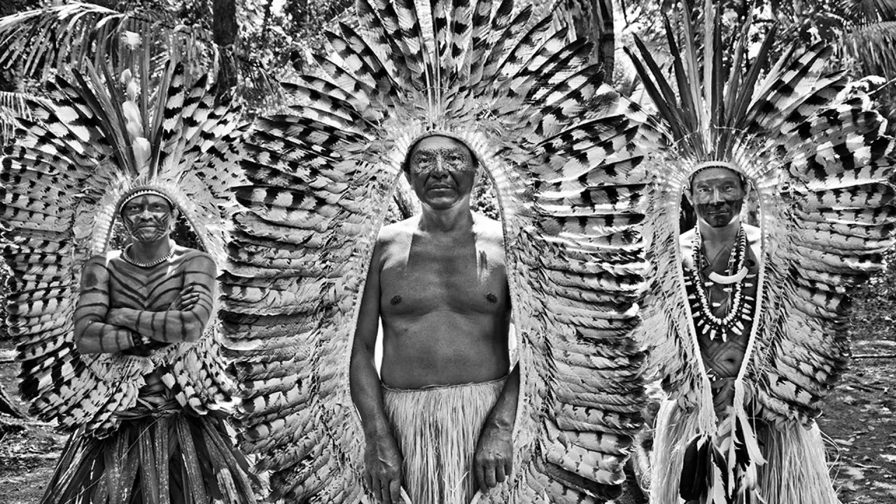 Trzech mężczyzn w pióropuszach z piór, z malowanymi twarzami i ciałami. Niesamowite amazonia ciekawostki.