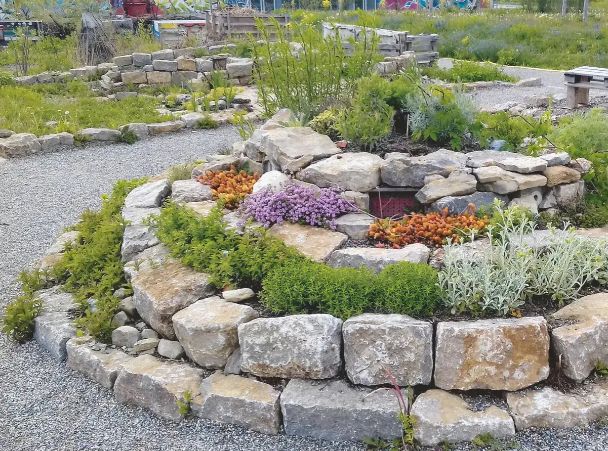 Kreative Steingarten Ideen: Ein runder Steingarten mit verschiedenen Pflanzen wie lila Thymian, orange Sedum und gr&uuml;nen Bodendeckern.