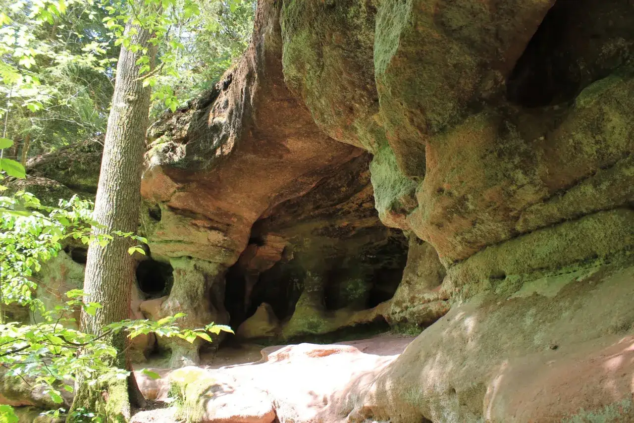 Felsformationen und H&ouml;hlen am schwarzachklamm wanderweg. Ein Baum steht im Vordergrund.