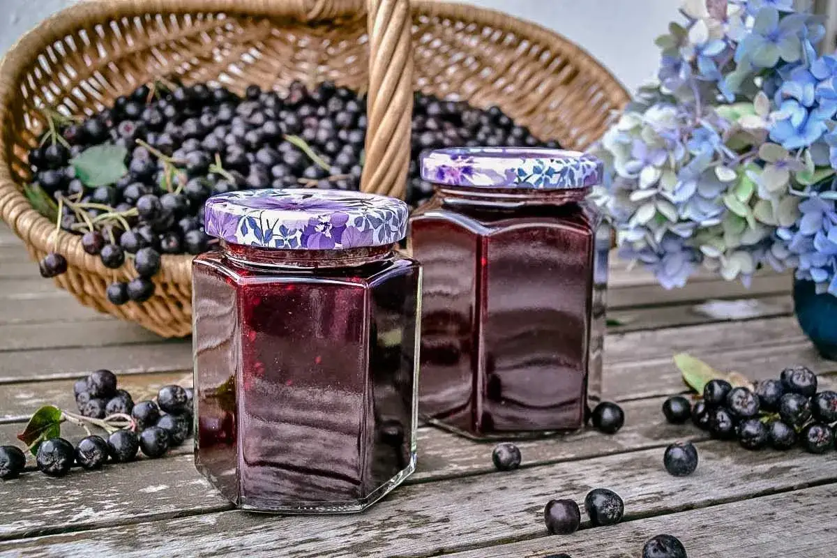 Zwei Gl&auml;ser Aroniabeeren-Marmelade, bereit zum Genie&szlig;en. Ein Korb voller frischer Aroniabeeren steht daneben.