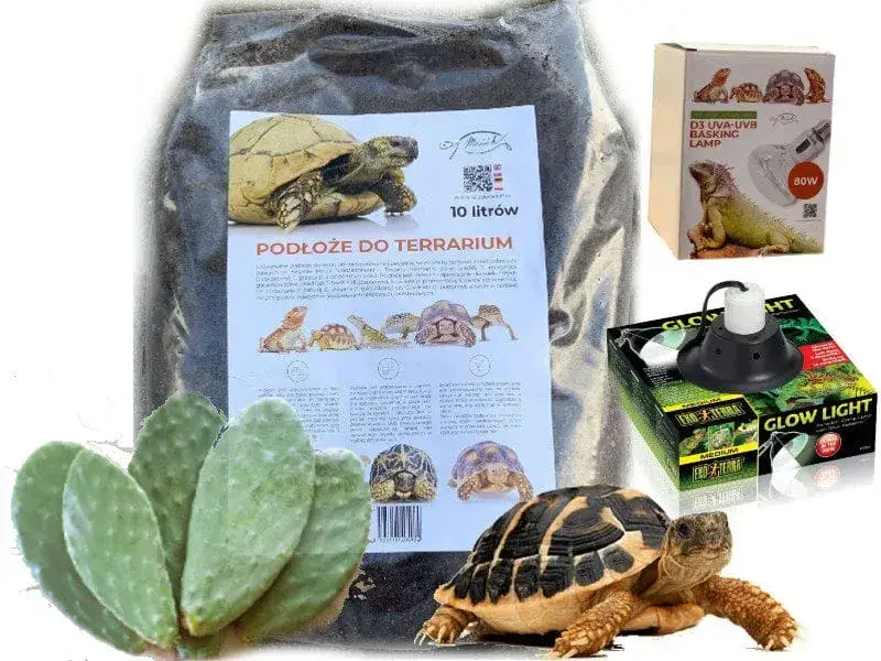 terrarium dla żółwia lądowego gotowy zestaw