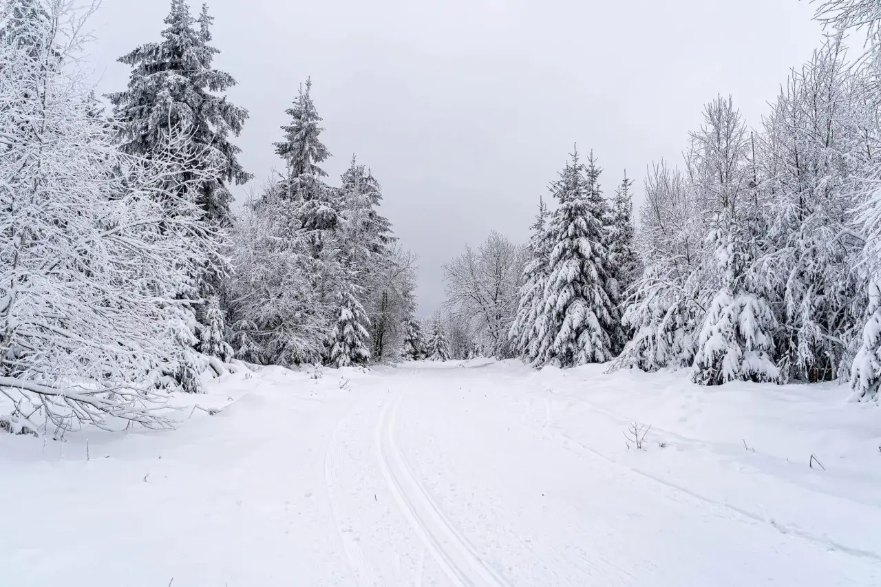Śnieżna trasa narciarska na Podlasiu. Idealne miejsce na ferie zimowe wśród ośnieżonych drzew.