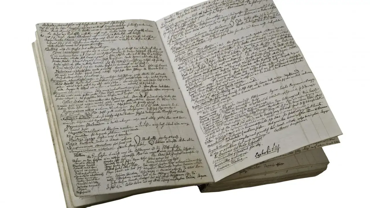 Altes Schriftdokument mit handgeschriebenen Notizen und botanischen Zeichnungen.