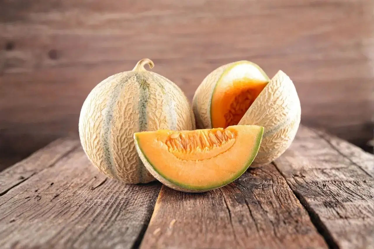 Deux melons entiers et une tranche orange vif sur une table en bois rustique. Le plaisir de cultiver le melon.