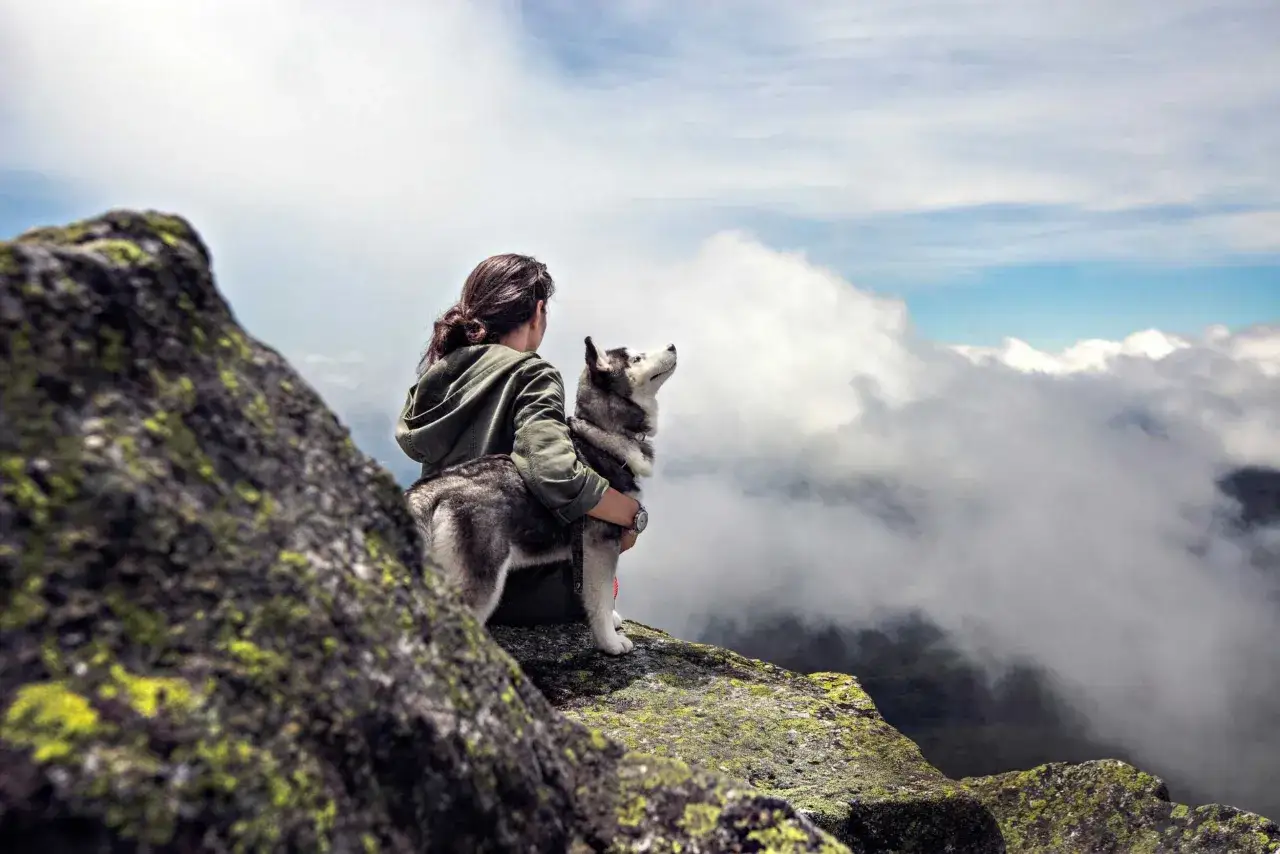 Una persona abraza a un perro husky en la cima de una montaña, contemplando un mar de nubes.