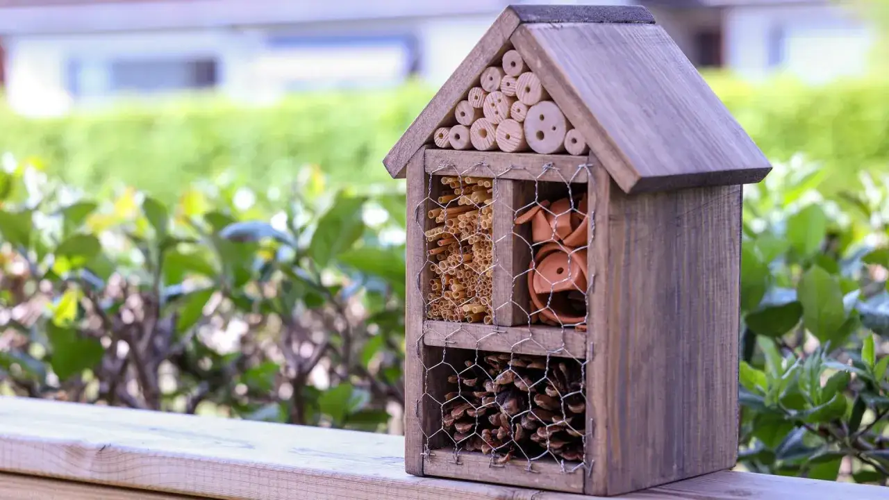 Ett charmigt insektshotell, perfekt för att bygga ett hem för pollinerare. Fyllt med bamburör, kottar och lerkrukor.