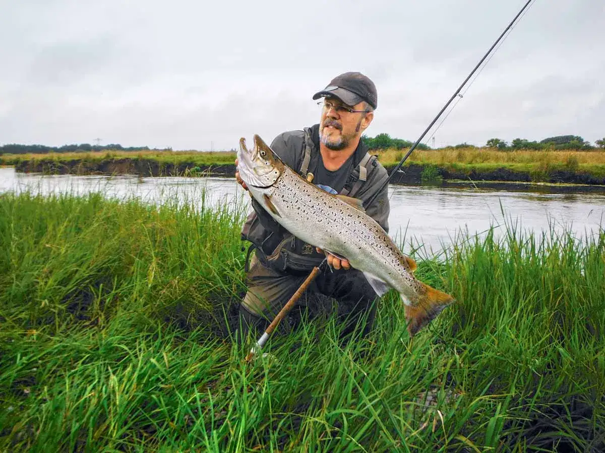 Erfolgreiches L**imfjord angeln**: Ein Angler pr&auml;sentiert stolz einen stattlichen Fisch im Schilf.