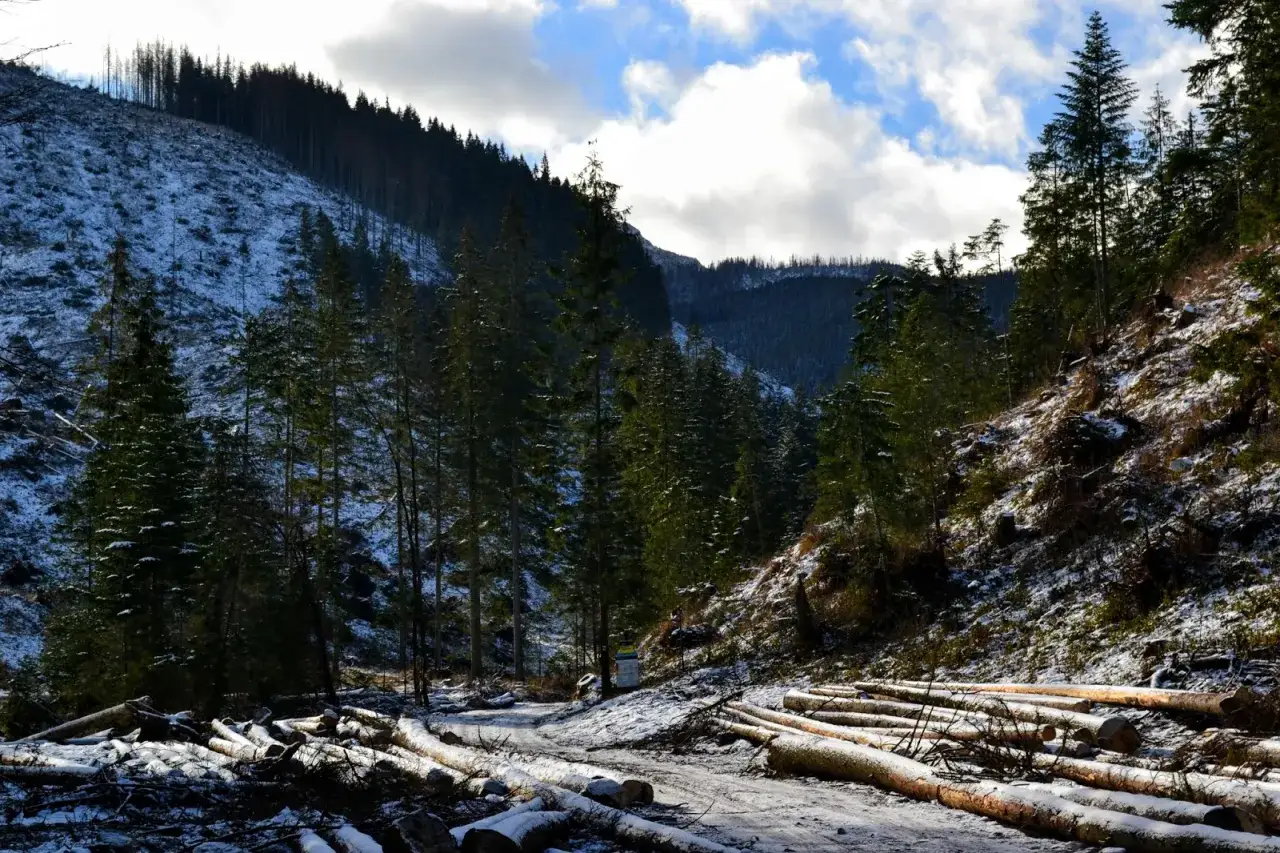 Dolina Lejowa szlak zielony Tatry Zachodnie