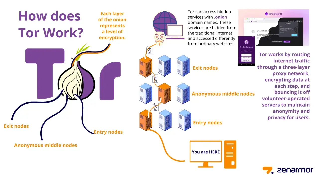 Tor-Netzwerk: Zwiebel-Prinzip der Verschlüsselung mit Entry, Middle und Exit Nodes für Anonymität im Darknet.