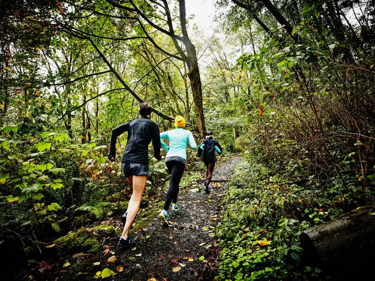 Drei Läufer im Wald auf einem schmalen Pfad, genießen ihr trailrunning training inmitten üppiger grüner Vegetation.