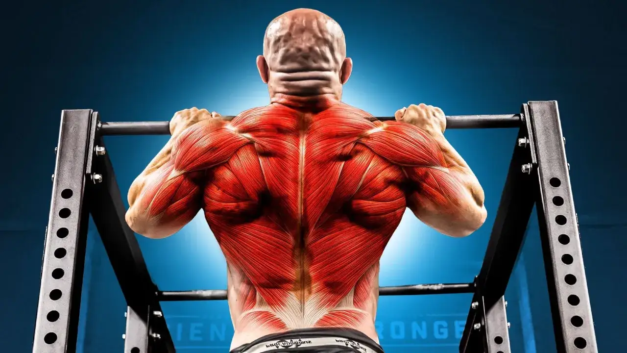 Muscolatura dorsale in evidenza, con focus sulla schiena e spalle, durante un esercizio di trazione. Ideale per una scheda allenamento trazioni massa.