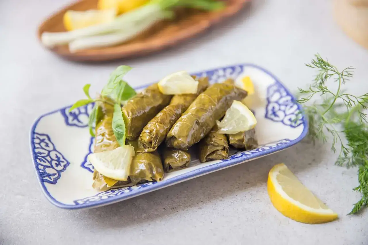 V&auml;lsmakande dolma recept p&aring; en vacker bl&aring;vit tallrik, garnerad med citronklyftor och f&auml;rska &ouml;rter.