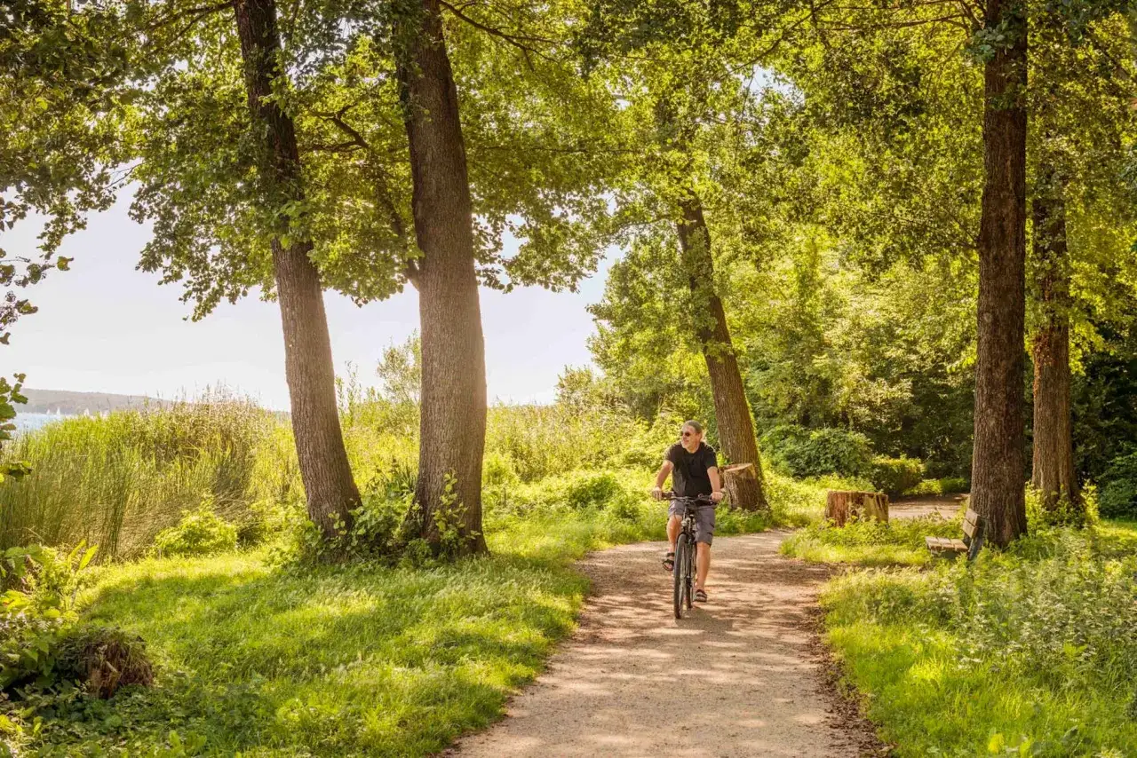 Mann radelt auf einem Weg durch den sonnigen Spandauer Forst, vorbei an hohen Bäumen und üppigem Grün.