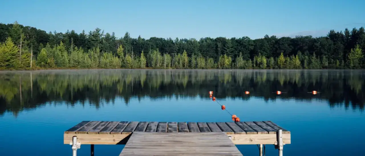 Holzsteg am ruhigen Badesee Dresden, umgeben von einem dichten Nadelwald. Schwimmbojen markieren den Bereich.