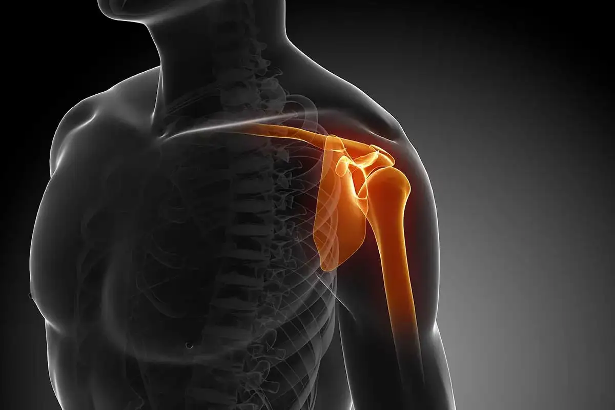 Anatomia barku z zaznaczonym stawem ramiennym. Zwichnięcie barku jak długo boli, zależy od wielu czynników.