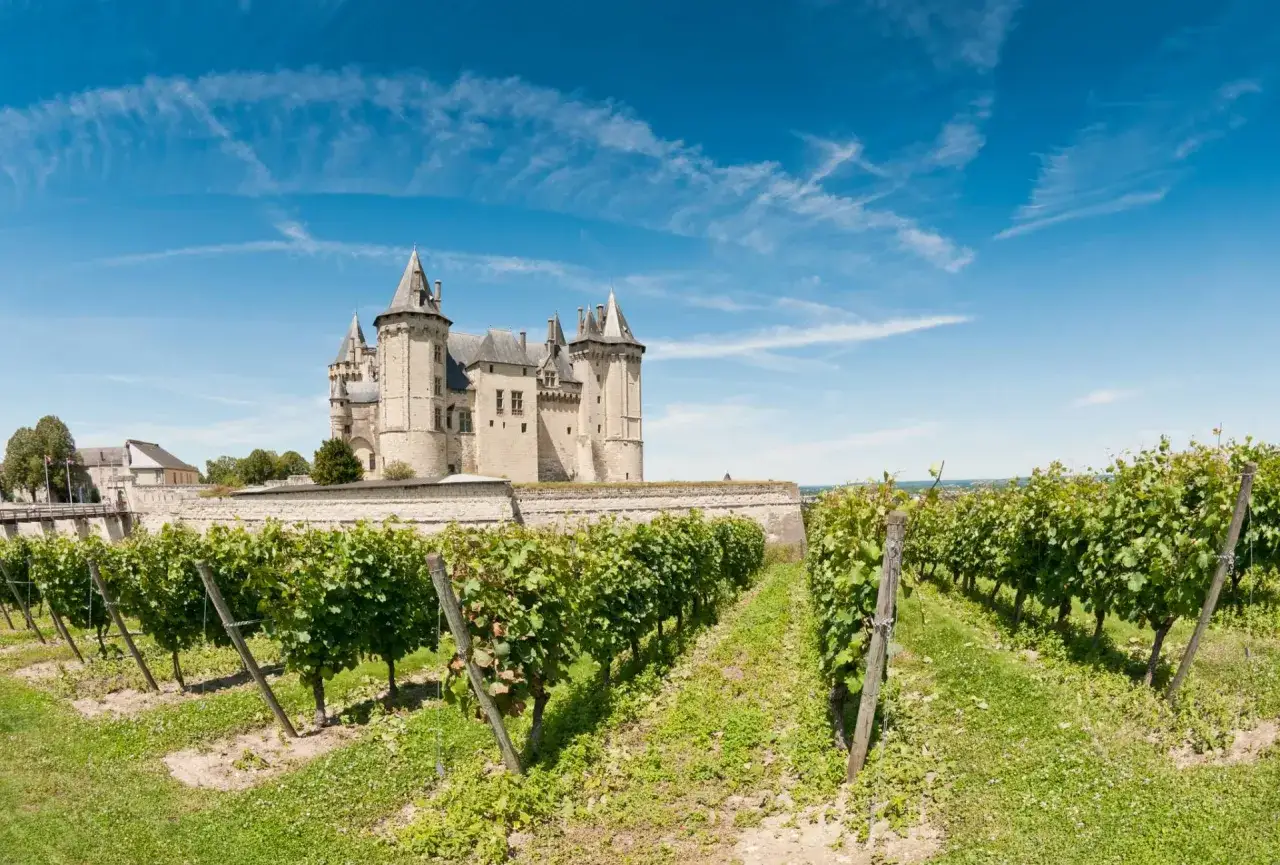 Un majestueux **château de la Loire** se dresse derrière un mur de pierre, avec des vignes luxuriantes au premier plan sous un ciel bleu éclatant.