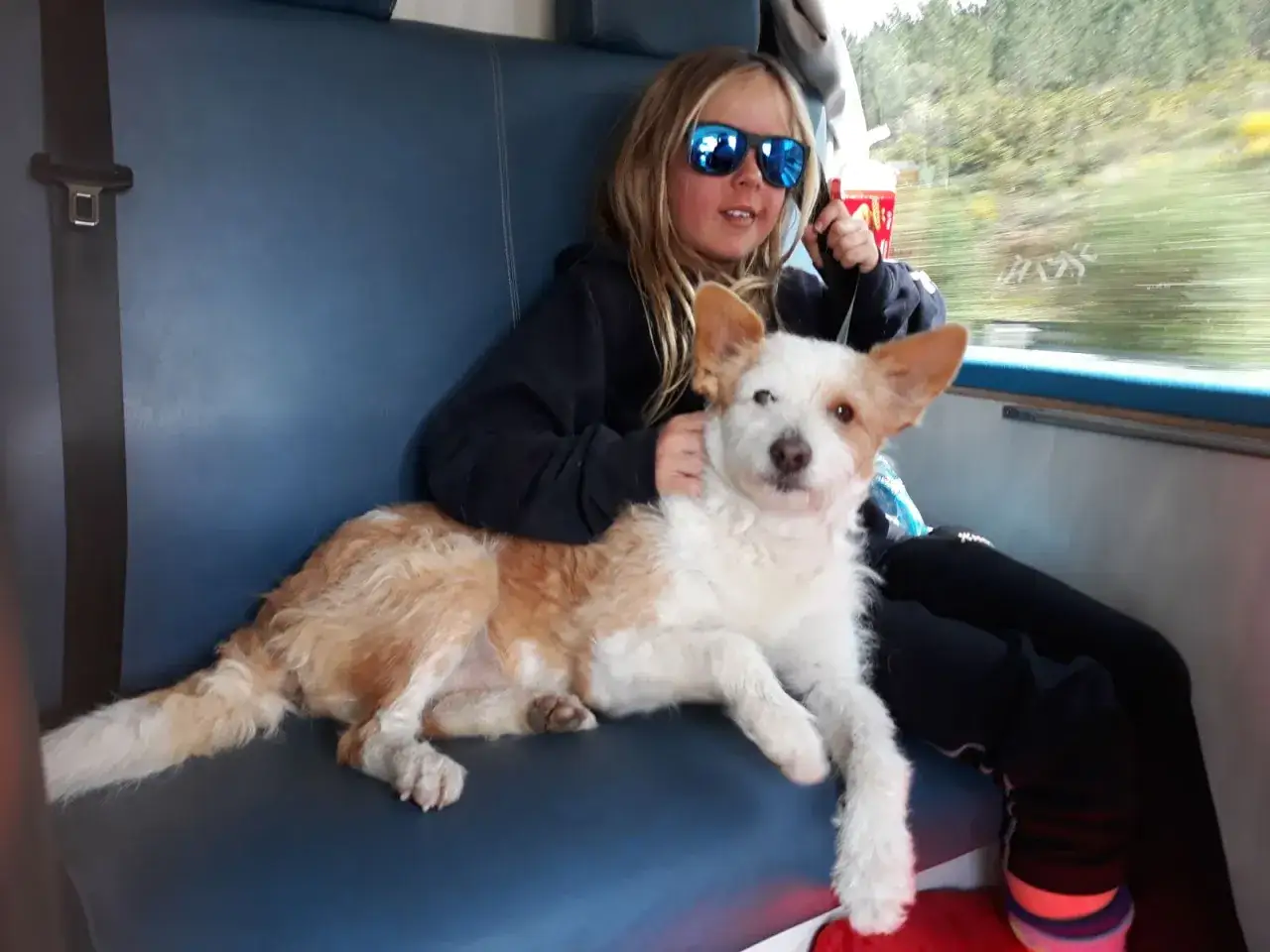 En flicka med solglas&ouml;gon kramar sin hund p&aring; en b&auml;nk. De verkar njuta av sin semester med hund.