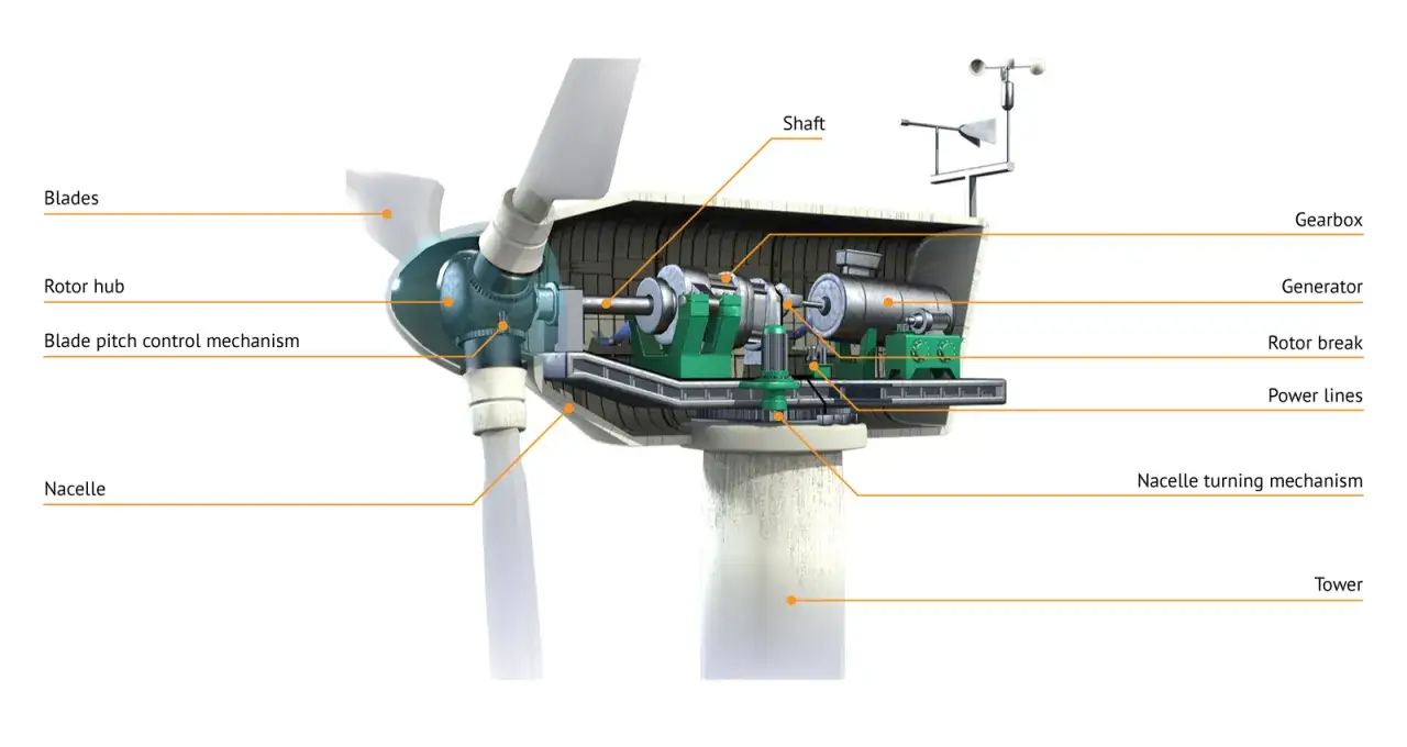 Schnittdarstellung einer Windkraftanlage, die zeigt, wie energie aus windkraft durch Rotorblätter, Getriebe und Generator erzeugt wird.