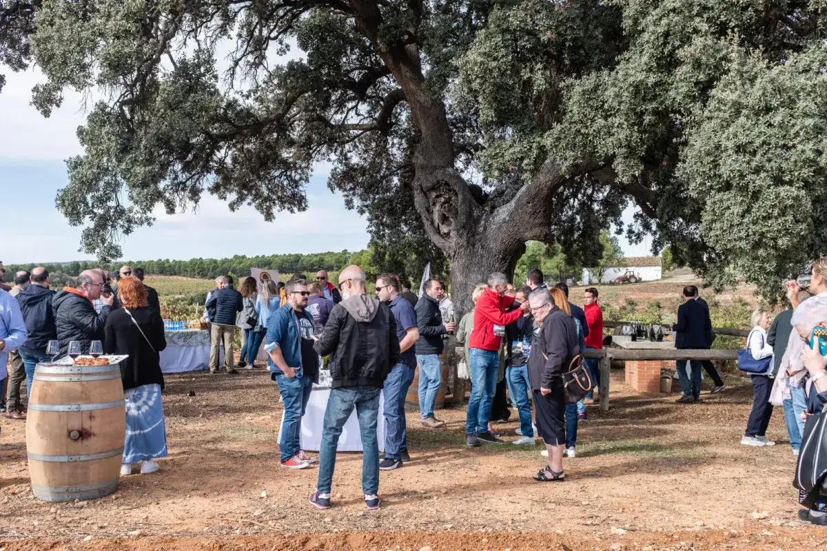 Gente disfrutando de una visita a bodegas bajo un gran árbol. Hay barriles de vino, mesas con aperitivos y viñedos al fondo.